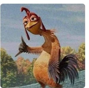 Meet your Posher, Hector